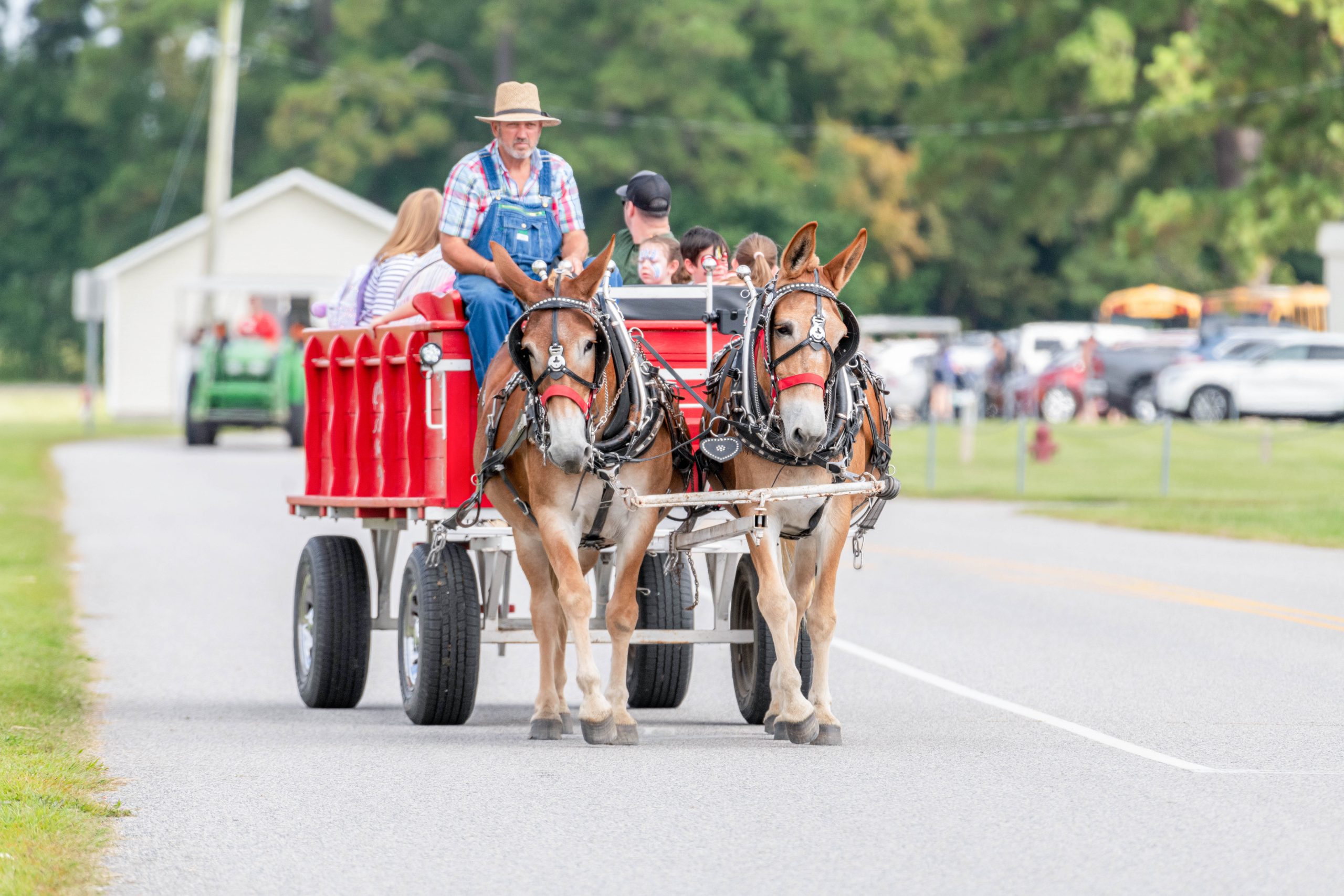 Camden Heritage Festival 2024 (247) – Dismal Swamp