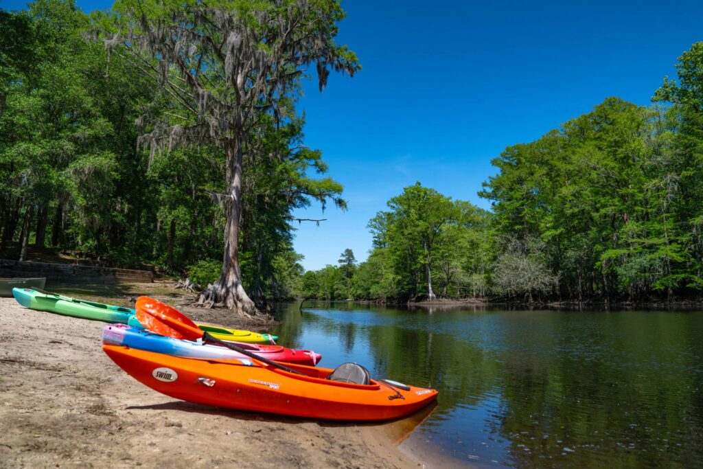 kayaks on bank of river